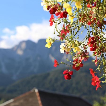 Fewo Baurechthof Goderschach 外观 照片